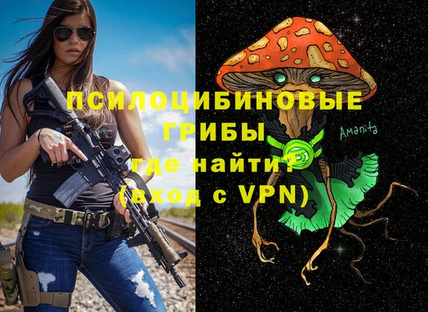 стафф Алзамай