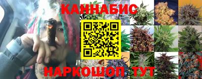 мяу мяу мука Кулебаки