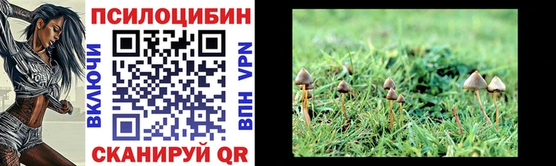 цена Шарыпово Псилоцибиновые грибы GOLDEN TEACHER
