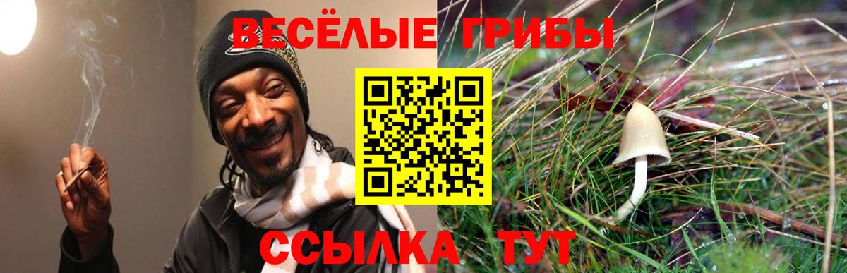 Псилоцибиновые грибы Psilocybine cubensis  Вход с VPN  Шарыпово 