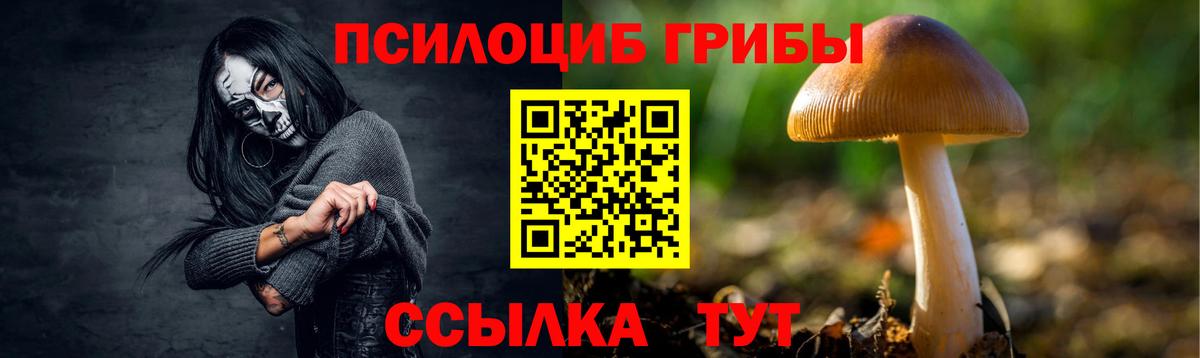 Псилоцибиновые грибы Magic Shrooms Шарыпово